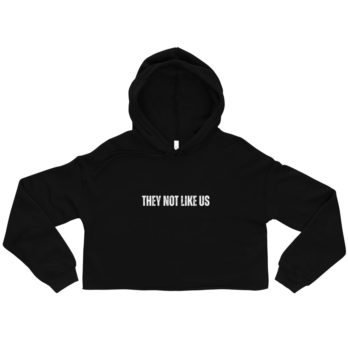 They Not Like Us women's cropped hip hop hoodie in Black, flat front